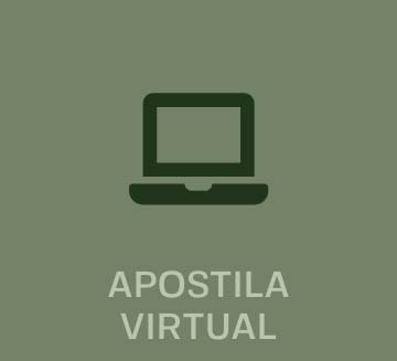 Apostila Virtual